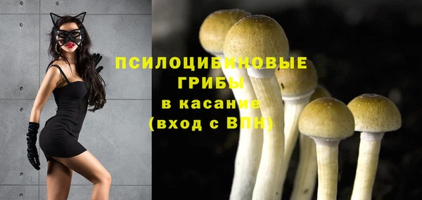 2c-b Кинешма