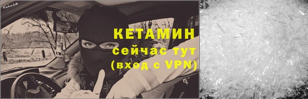 индика Киреевск