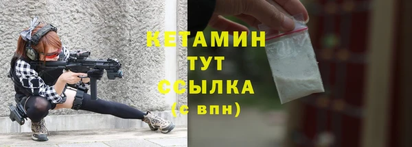 индика Киреевск