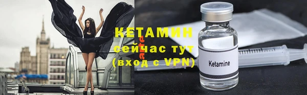 индика Киреевск