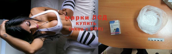индика Киреевск