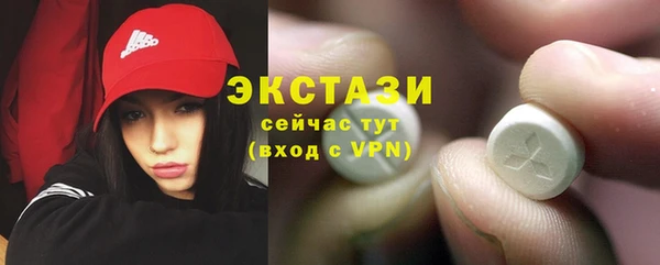 индика Киреевск
