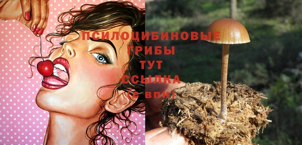 индика Киреевск