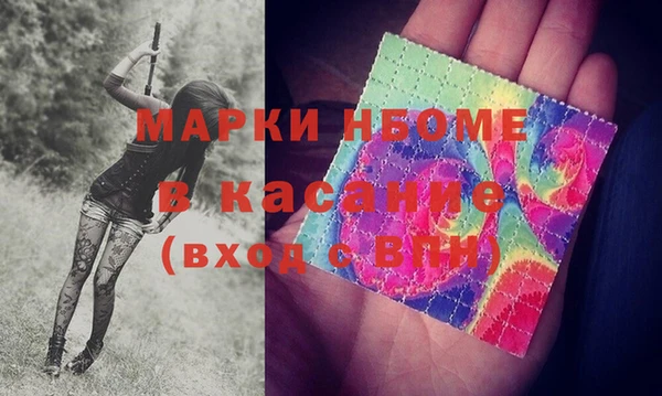 индика Киреевск
