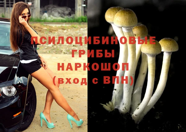 2c-b Кинешма