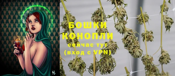индика Киреевск