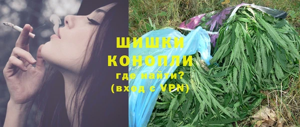 индика Киреевск