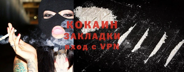 индика Киреевск
