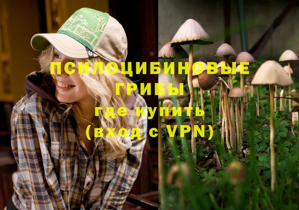 сатива Карпинск